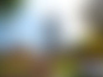 ปตท. เสนอขาย Digital Bond ผ่าน DIF: Web Portal เป็นครั้งแรกของไทย มูลค่ารวม 1 พันล้านบาท