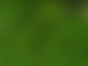 GISTDA เผยภาพถ่ายดาวเทียม Landsat-9น้ำท่วม4จว.อีสานกว่า 1.3 แสนไร่ -ชป.เร่งติดเครื่องสูบน้ำ