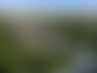 ธนาวิลเลจ วงแหวน - ปิ่นเกล้าบ้านแฝดที่ครบเครื่องทุกฟังก์ชัน เริ่ม 4.69 ล้าน*