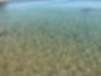 image00025.jpeg