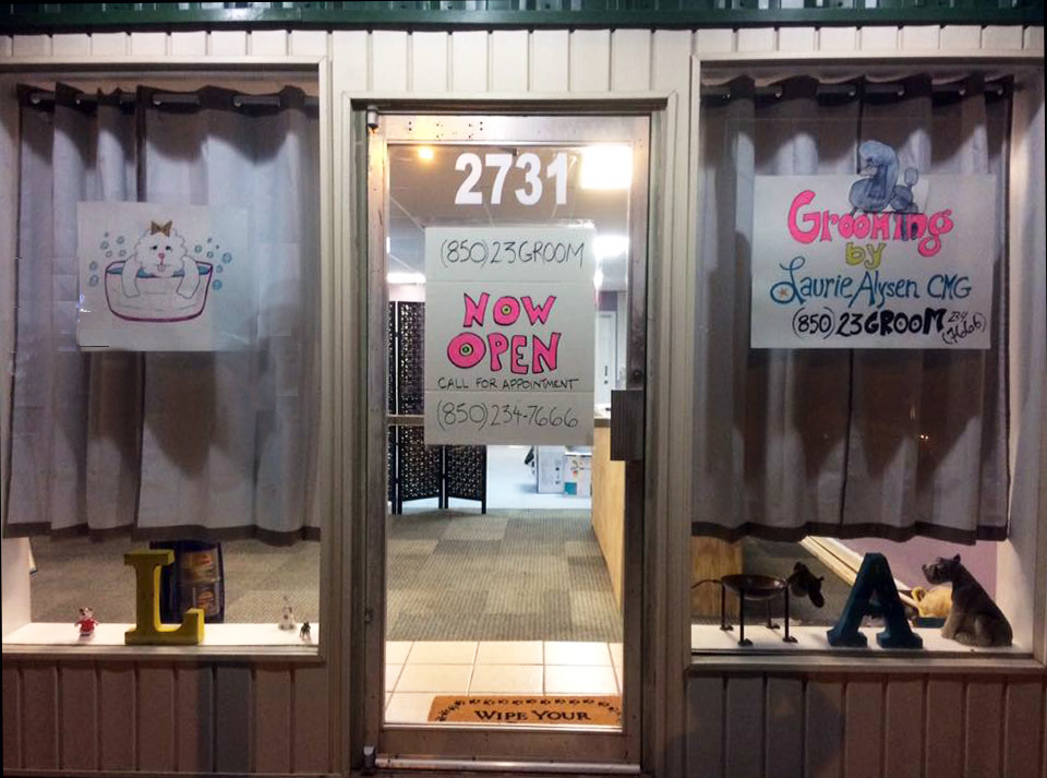 Grooming by Laurie Alysen