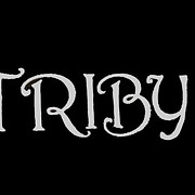 Logo de TRIBY