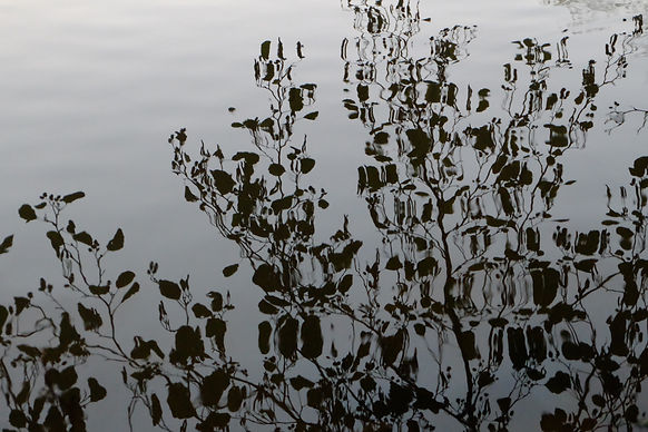 Meditation in der Psychotherapie