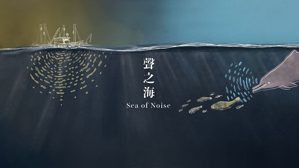 'Sea of Noise' Cheung Chau Screening