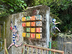 Synchronised Revolution