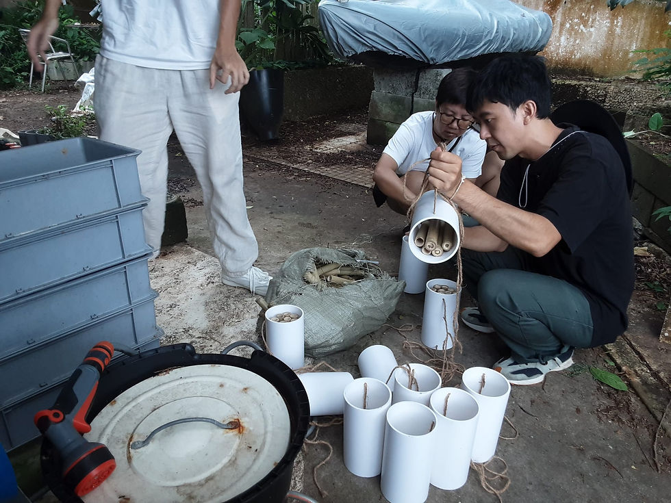 Island Bee & Bee: Follow Bee! Peng Chau