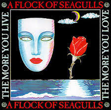 A flock of seagulls - The more you live