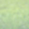 grass zoomed out.jpg