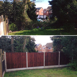 13116106_953678478085590_105640883850164038_o