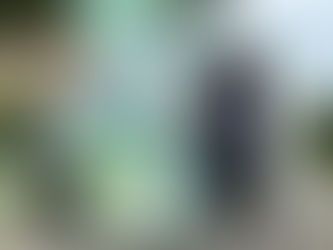 科技到永續的轉身：碳竹雞「第二人生」線上展幕後故事