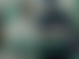 艾瑪絲資源第二人生