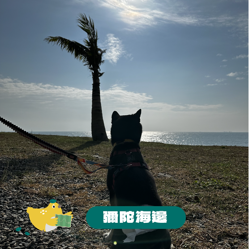 彌陀海邊