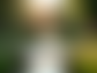 Top Stress Management Tips for Daily Life: Managing Stress Effectively