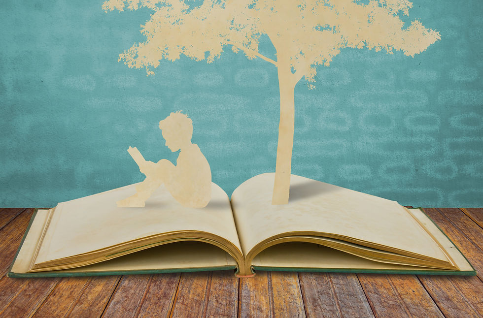 BiblioVirtual