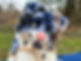 IMG_5402.jpeg