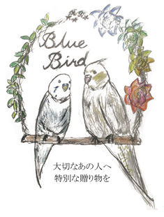 セキセイインコとオカメインコがブランコに乗っている