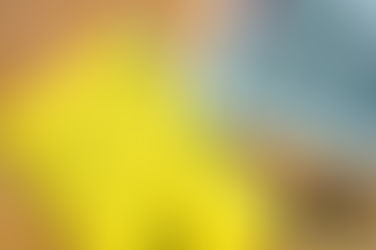 Calories IN Calories OUT