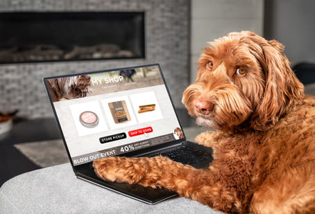 Industry News: The Latest Strategies for E-commerce Email Campaigns