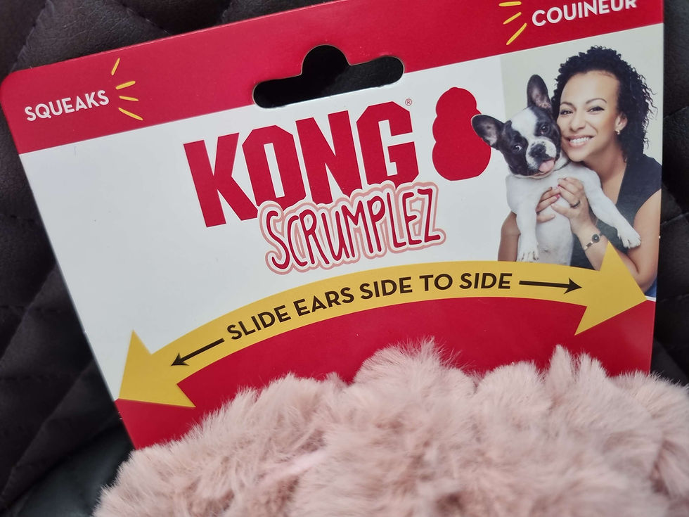 Thumbnail: KONG Scrumplez rabbit / koala (med)