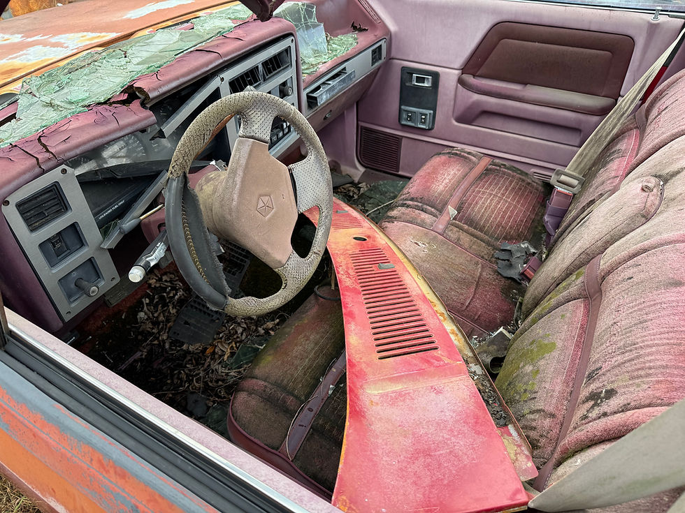 Thumbnail: 1989 Dodge Dakota Convertible