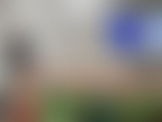 Memory and the Idea of Belonging - Priyanka Seshadri