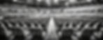 Firefly arena seats and lights in black and white facing the camera 42081_edited.jpg