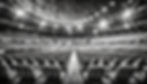 Firefly arena seats and lights in black and white facing the camera 42081.jpg