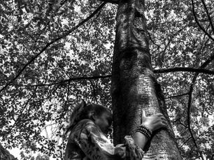 Trees can be a teacher: how to stay grounded, rooted, and connected below and above…