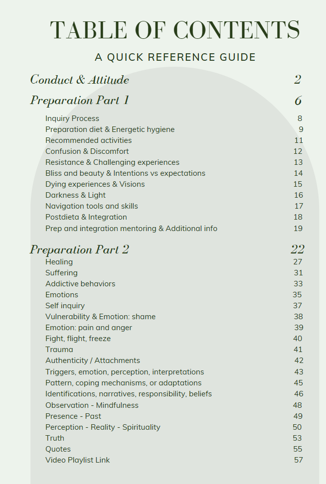 Miniaturbild: True - Journey Preparation and Integration Course Package