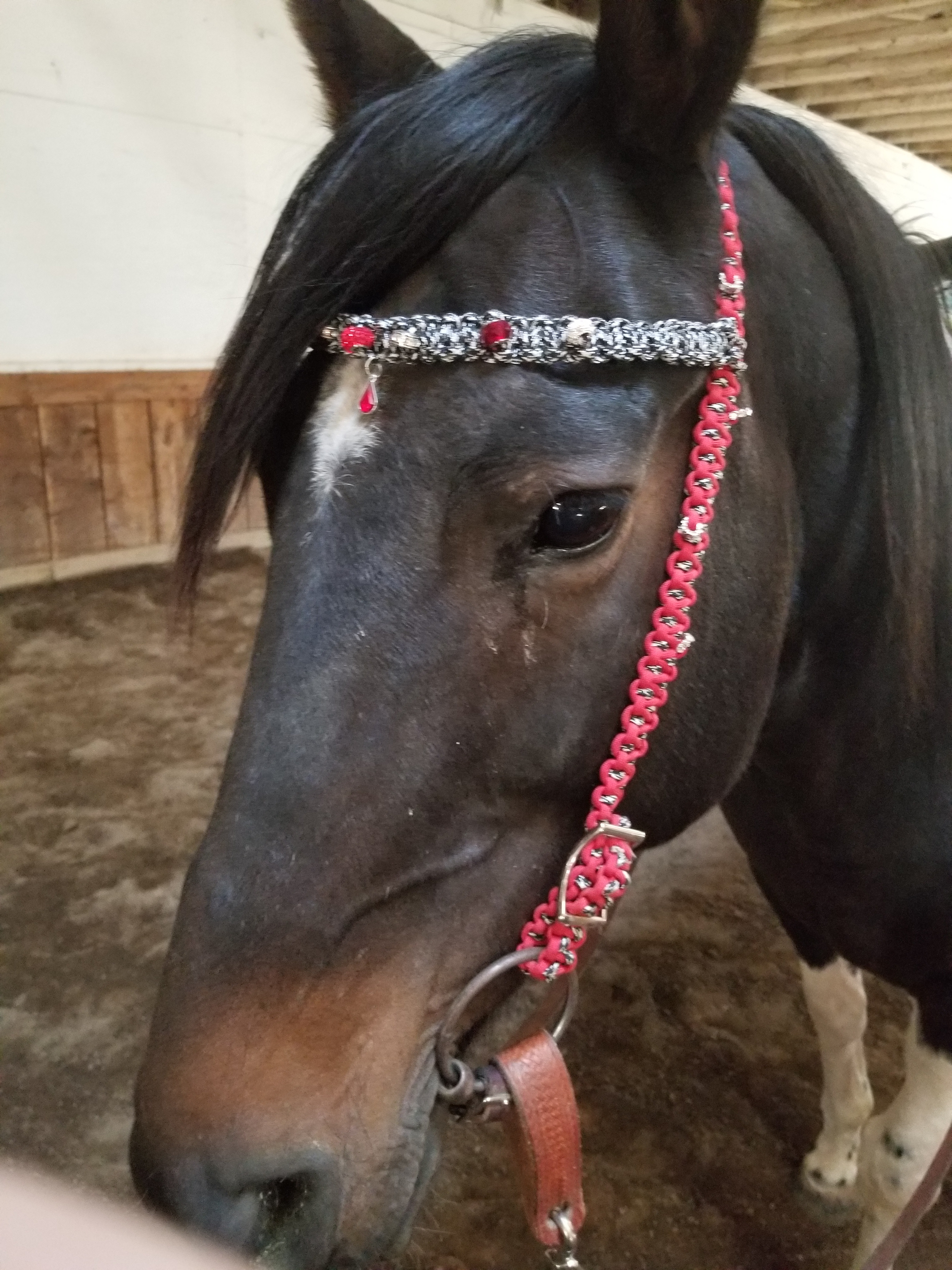 Custom Western Bridle