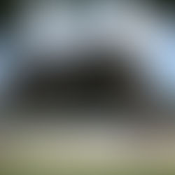 LE MUSEE SUR L'HISTOIRE DES AFRO-AMERICAINS EST OUVERT