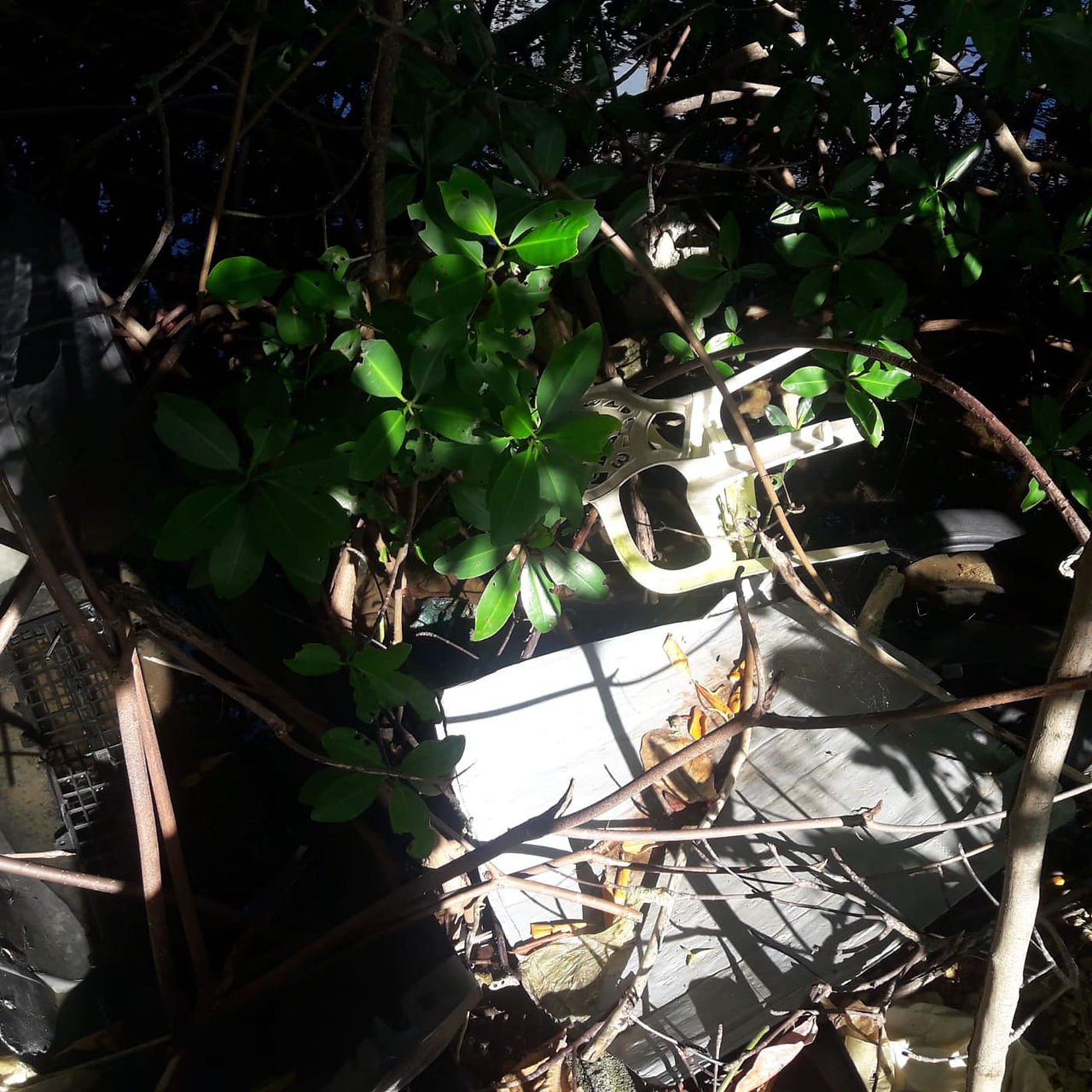 Trashtag7