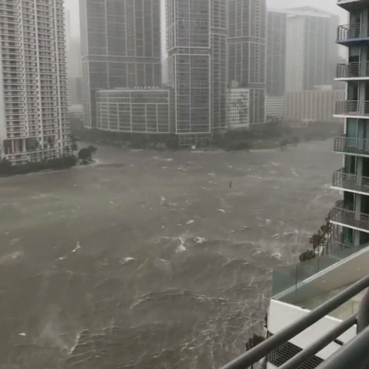 MIAMI4