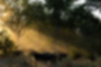 335A1876.jpg