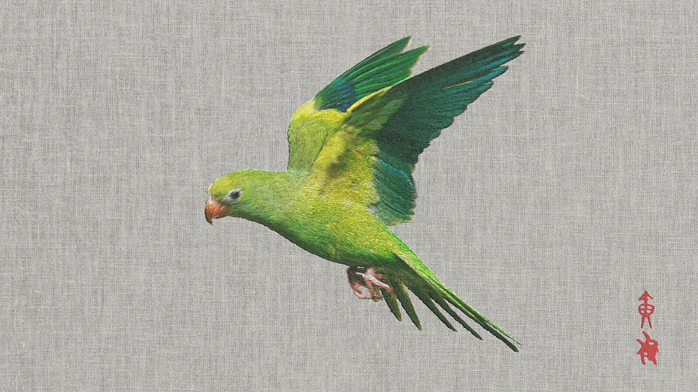 Bird.mp4_snapshot_00.06.166.jpg