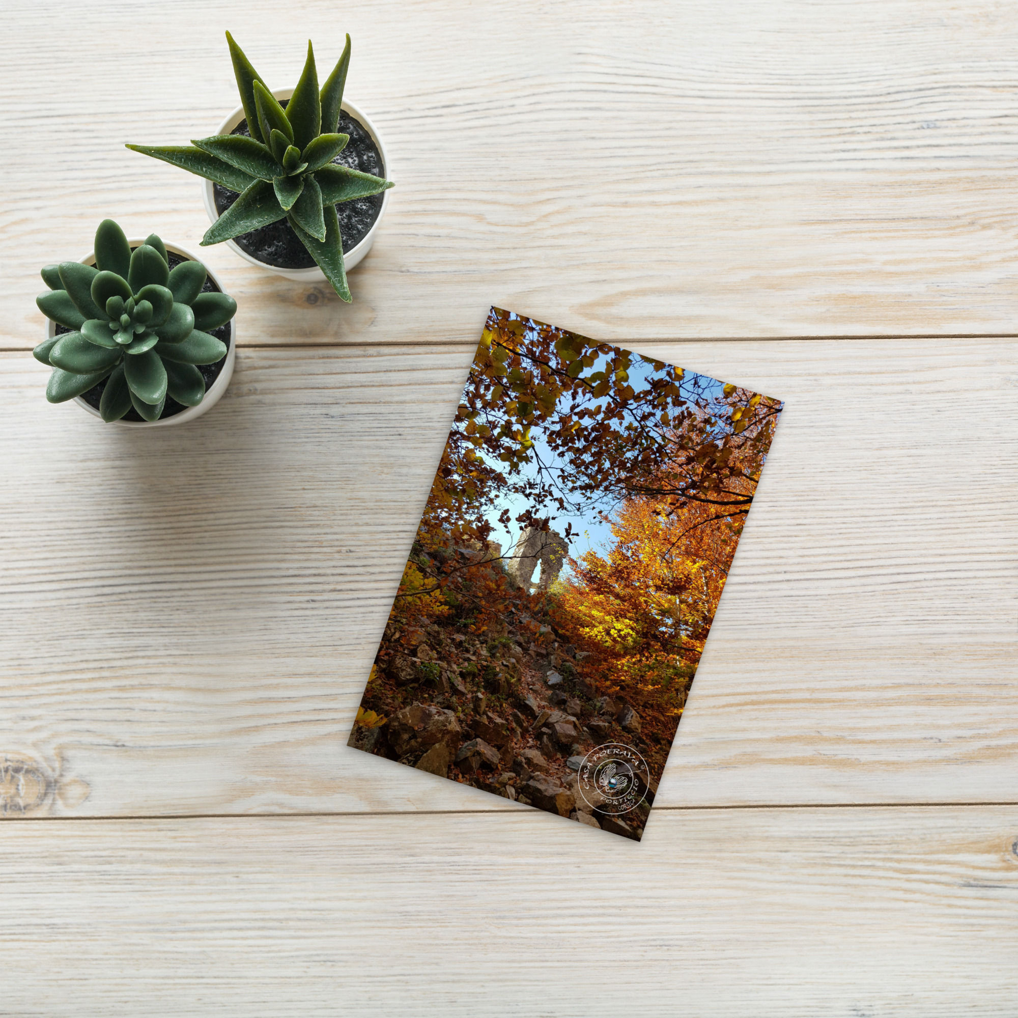 Carte postale Ruine Vizzavona