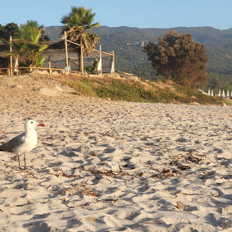 La plage sans la foule