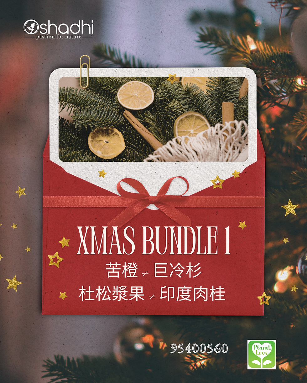 🎄 優惠聖誕禮物包 #1
