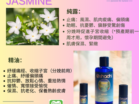 🤍 茉莉,喚醒感官女性用油