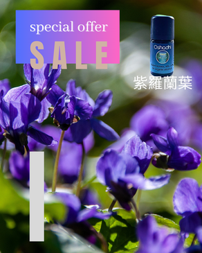 壓箱優惠精油 bundle #2