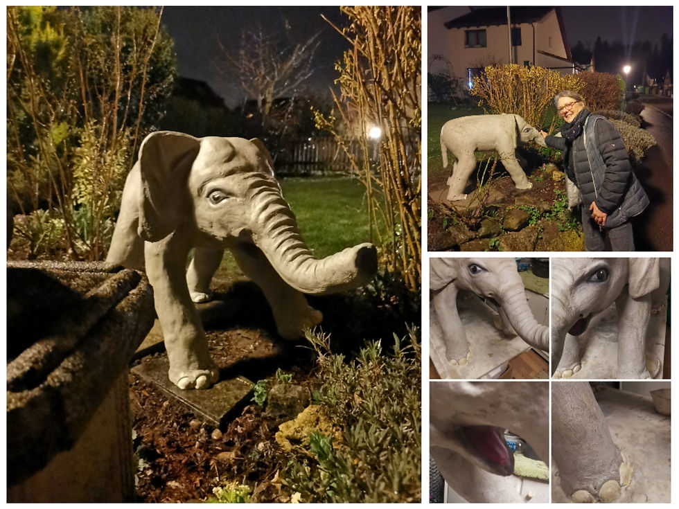 Baby Elefant