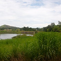 Environmental and Social Impact Assessments
