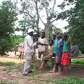 Public audience