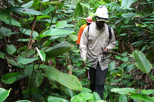 Environmental survey
