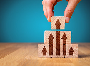 Business improvement, personal developme