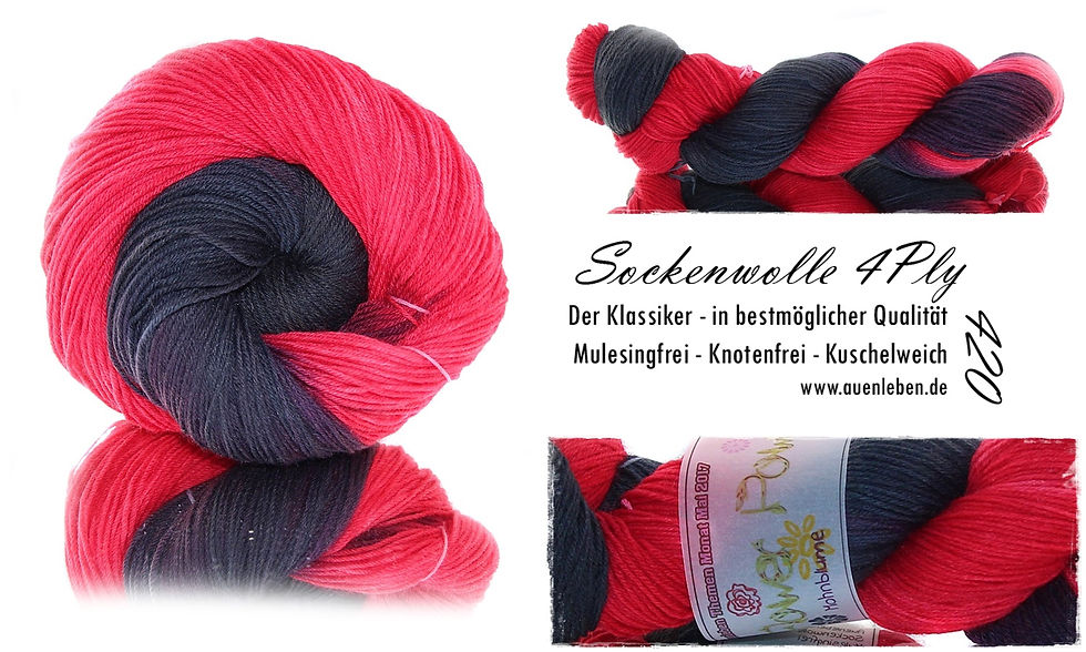 Mohnblume (0428)