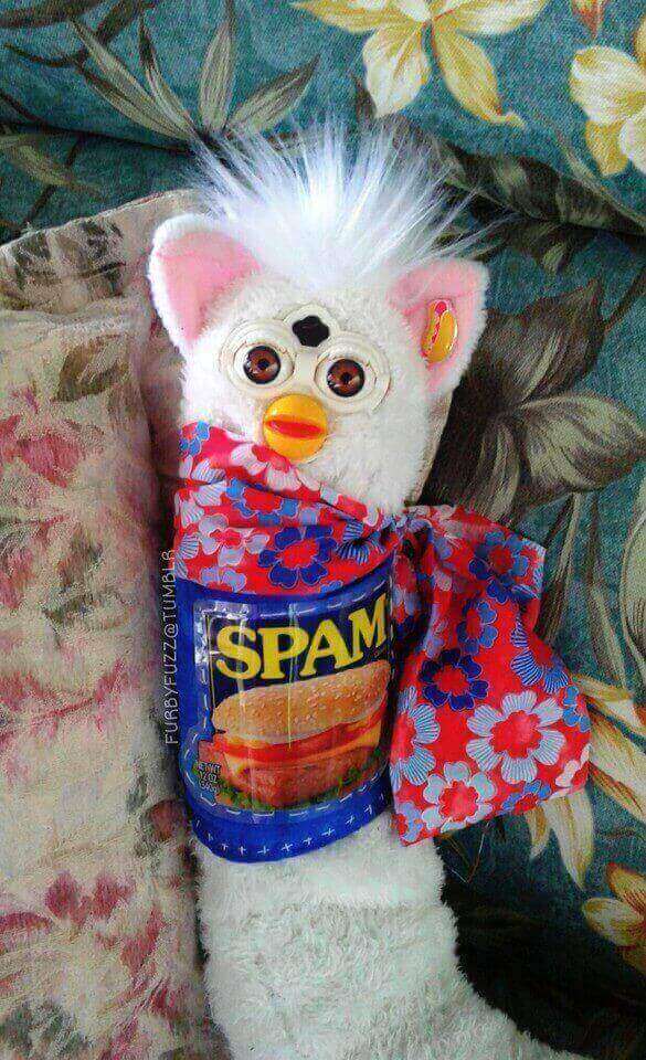 buy long furby