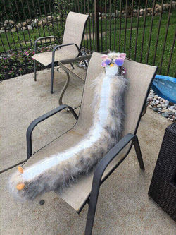 Poolside boi by Eva Leinbach