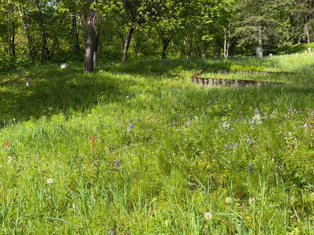 cemetery grounds