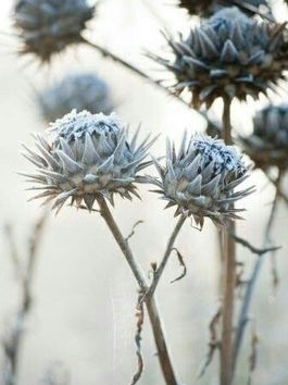 Anger Comes with Friends